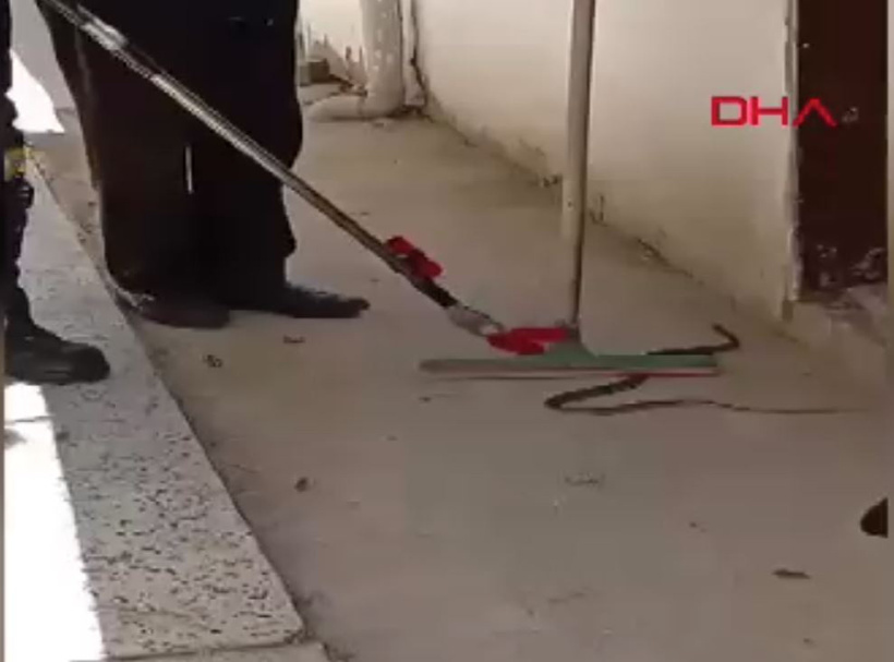 Ev sahibinin yüreği ağzına geldi! İstenmeyen misafiri itfaiye yakaladı - Resim : 2