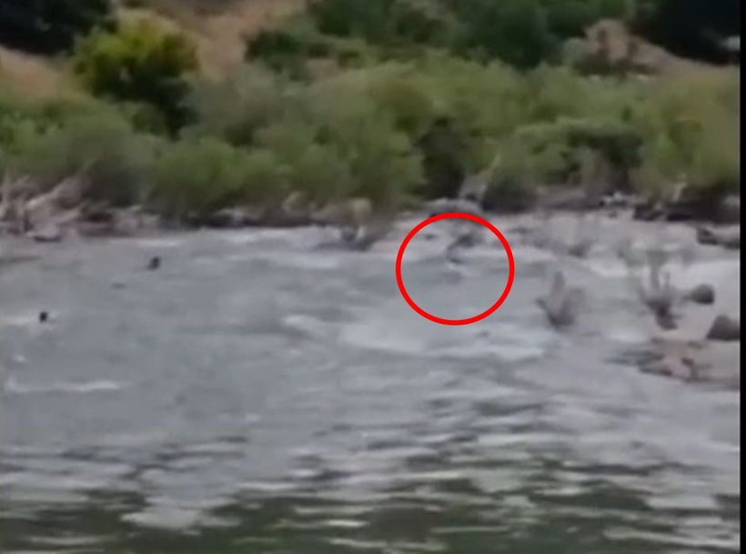 Akıntıya kapılarak kaybolan genç 8 gündür aranıyor! Suyun yönü değiştirildi - Resim : 5