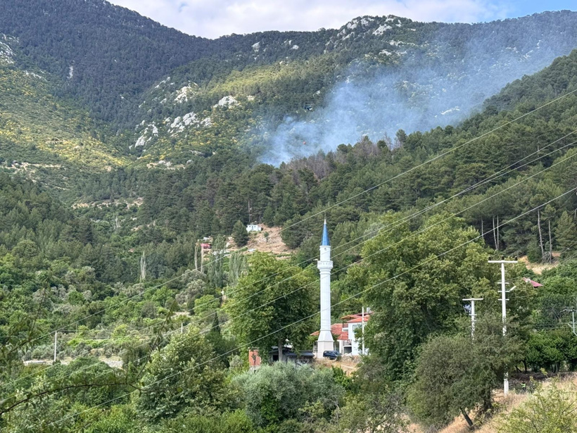 Kaş'ta orman yangını: Havadan ve karadan müdahale başlatıldı - Resim : 1