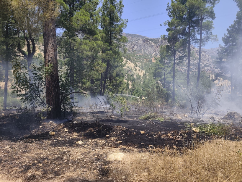 Mersin'de orman yangını: Alevler kontrol altında - Resim : 1