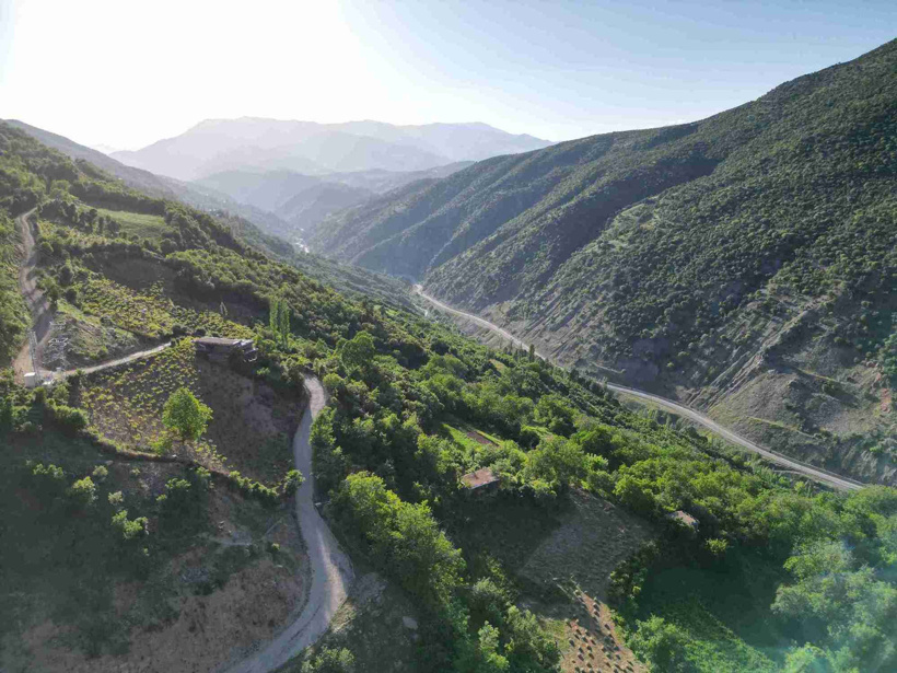 Bitlis'in saklı cennetine akın akın geliyorlar! Her yerde onlardan var - Resim : 3