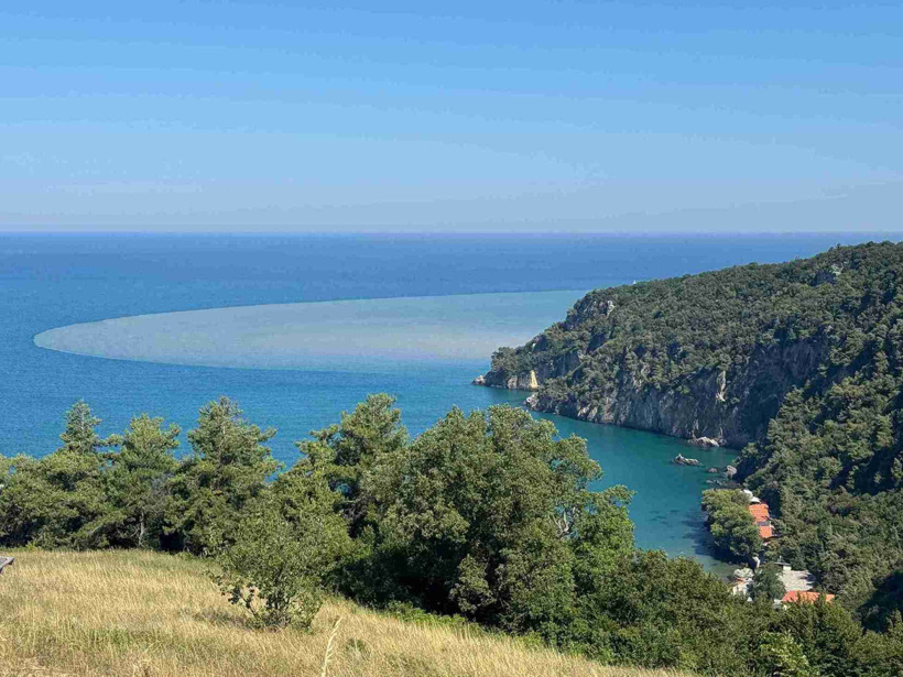 Bartın'da şaşırtan görüntü! Denizin rengi bir gecede değişti - Resim : 1
