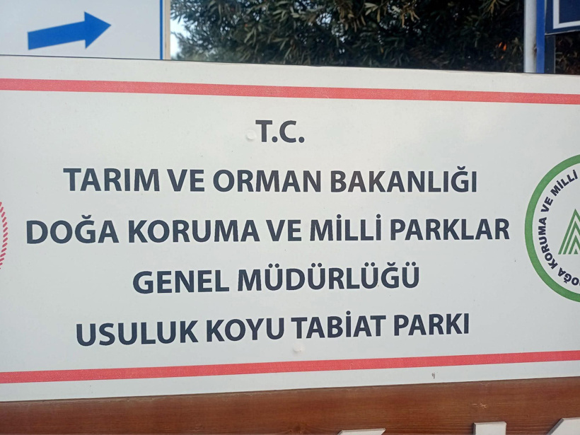 Doğal parka çelik konstrüksiyondan dev flamingo diktiler: Bodrum isyanda! - Resim : 1