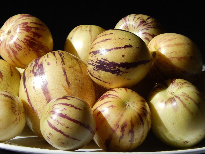 Ne kavun, ne kayısı, ne de patlıcan: And Dağları'ndan gelen şifa deposu meyve Pepino - Fotoğraf: 3
