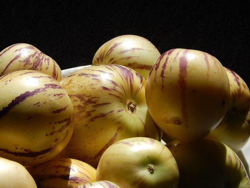 Ne kavun, ne kayısı, ne de patlıcan: And Dağları'ndan gelen şifa deposu meyve Pepino - Fotoğraf: 5
