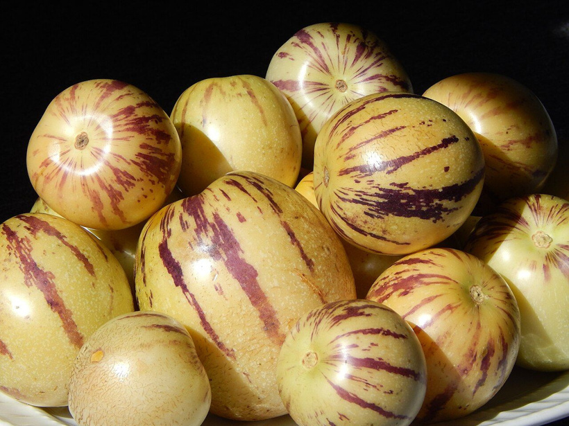 Ne kavun, ne kayısı, ne de patlıcan: And Dağları'ndan gelen şifa deposu meyve Pepino - Fotoğraf: 13