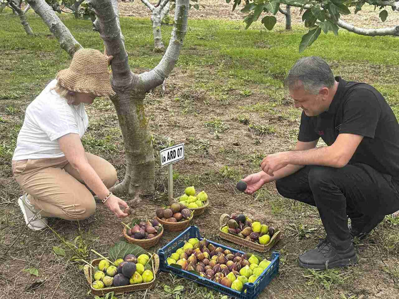 6 ilden toplandı Bafra’da yeniden hayat buldu - Resim : 1