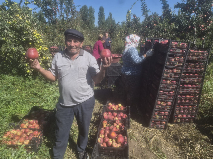 Hasat başladı çiftçi dert yandı! 10 liraya bile satamıyorlar - Fotoğraf: 3
