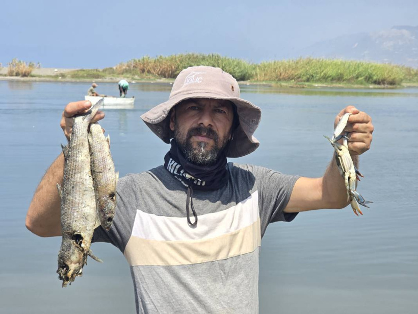 Etrafına ölüm saçıyor, yaşamı bitiriyor! Asi Nehri'nde istila alarmı - Fotoğraf: 4