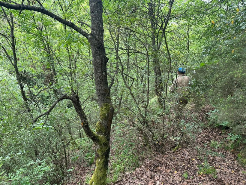 Korhan Berzeg'in Kafatası Aranıyor