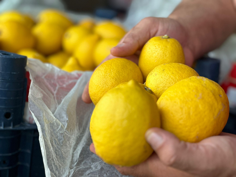 limon.jpg