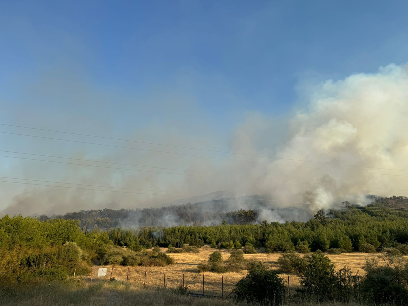 aa-20240817-35426524-35426523-izmir-mendereste-orman-yangini-cikti.jpg