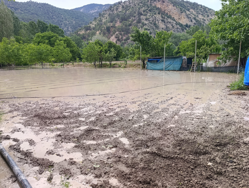 sağanak