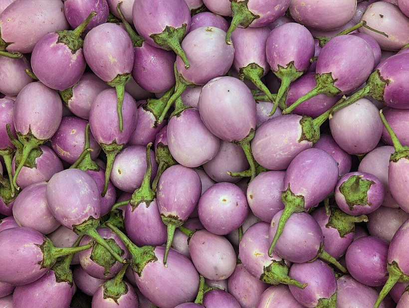 Her saksıya yumurta kabuğu atanlar yandı! - Fotoğraf: 5