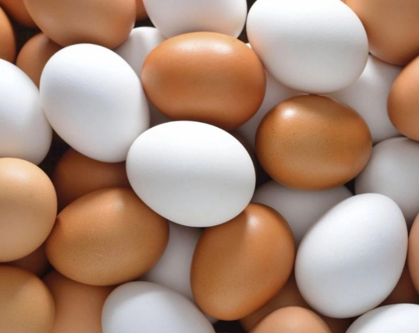 Beyaz ve kahverengi yumurta arasındaki gerçek ortaya çıktı