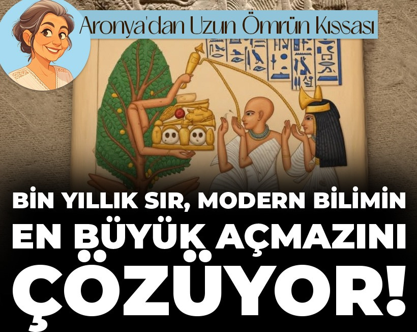 Laboratuvarlar yetmedi çare ormanda! Antik Mısır’ın bin yıllık ağacı plastiği %98 silip süpürüyor