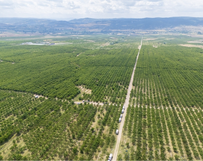 Köydeki tarlaların hepsini birleştirdiler: Sonu gelmeyen dev arazide verimleri 30 kat arttı