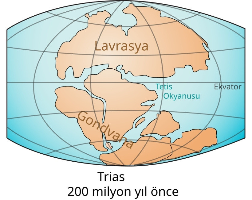 Dünya üzerindeki en eski kehribar bulundu: Tam 385 milyon yıllık - Resim : 3