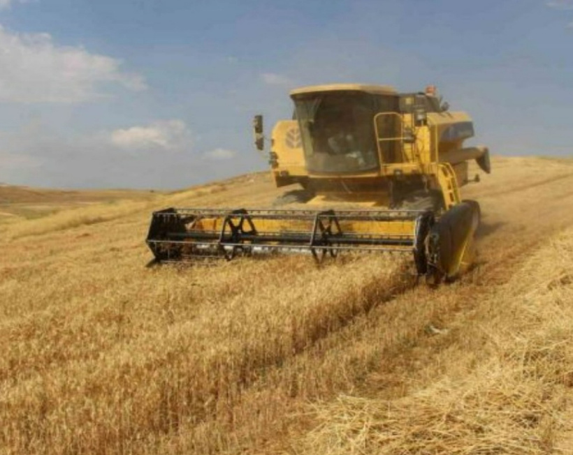 Buğdayda alarm veren yükseliş! Gözler ekmek fiyatlarında