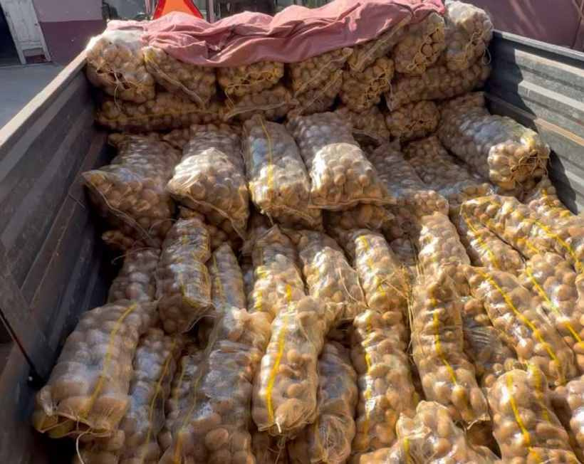 Kapış kapış gitti! Tonlarcasını çuval çuval ücretsiz dağıttı