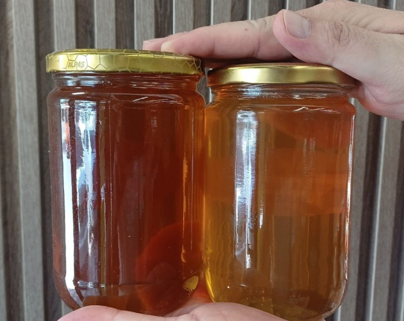 32 bin kovan kurup dünyaya sattılar: Japonya ve Avrupa bu balın peşine düştü