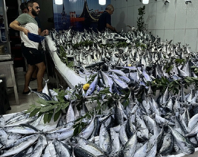Geldiği gibi bitti! Tanesi 50 liradan 200 kasa balığı 1 saat içinde kapıştılar