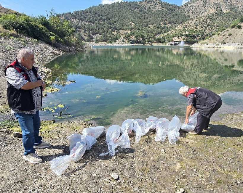 Poşet poşet getirip doğaya saldılar: Hayırlı olsun