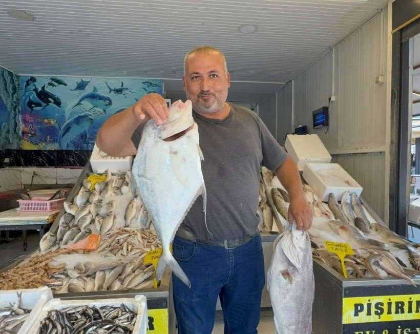 Açık denizlerin gizemli balığı kilosu 250 liradan satışa çıktı: Bilenler hemen kapışıyor