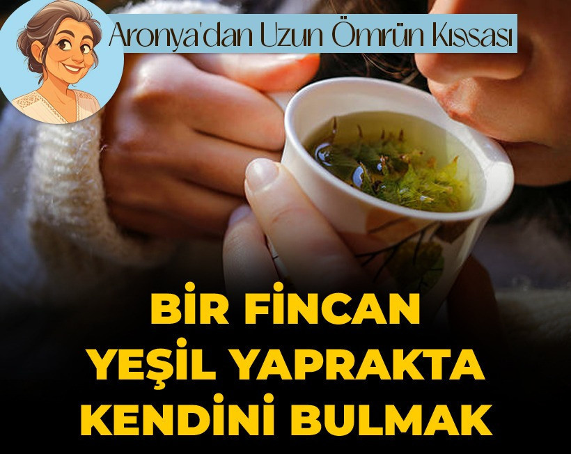 Bir fincan yeşil yaprakta kendini bulmak: