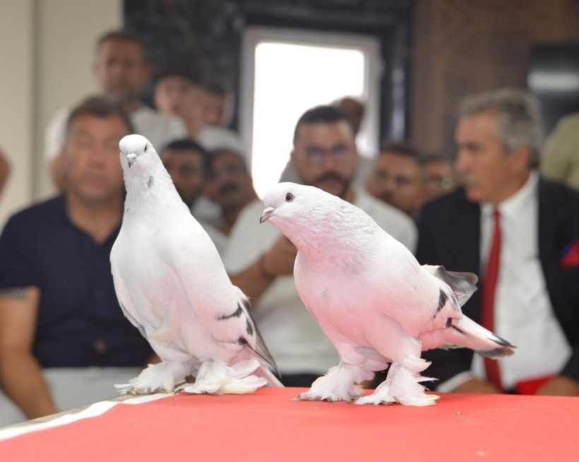 Bir ev parasına satılıyor! 200 tanesi Erzurum'da podyuma çıktı - Fotoğraf: 5