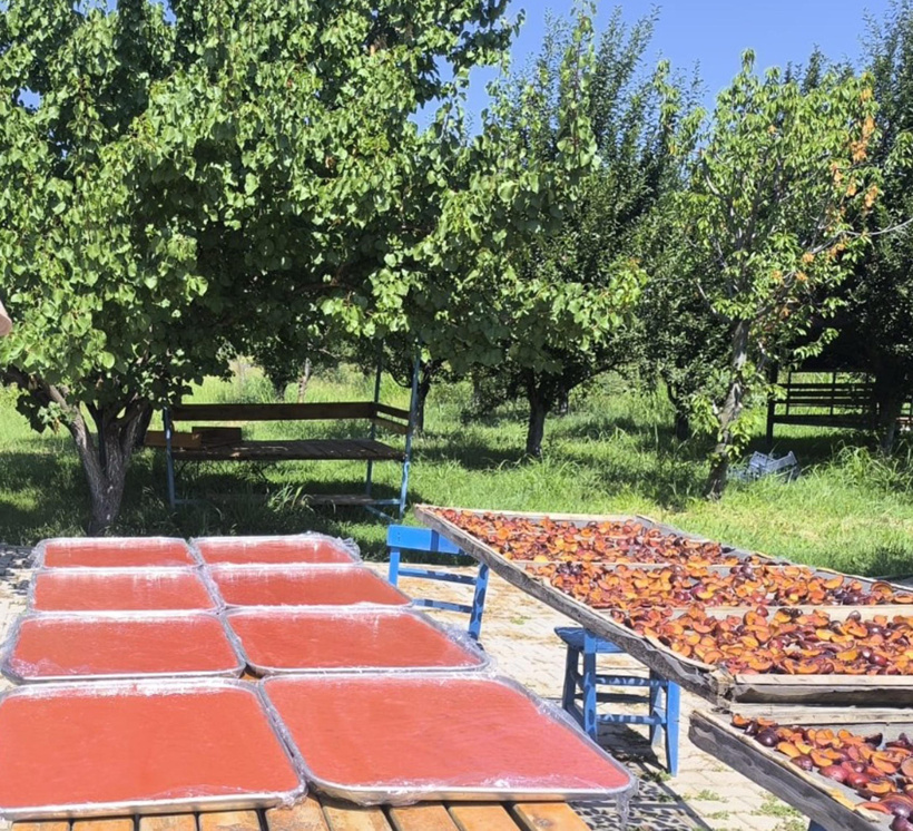 'Siyah inci' olarak biliniyor ama sadece meyve değil: Sofralara pestil ve pekmez olarak da geliyor - Resim : 5