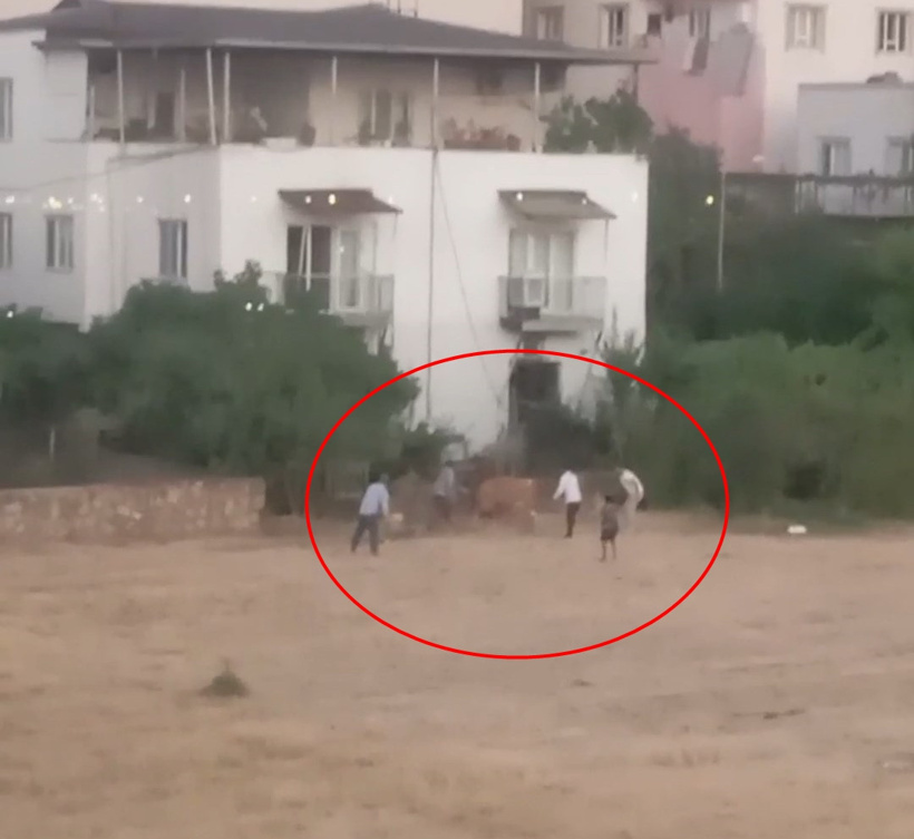 Kaçan inek sahibini yere serdi: O anlar saniye saniye kaydedildi - Resim : 4