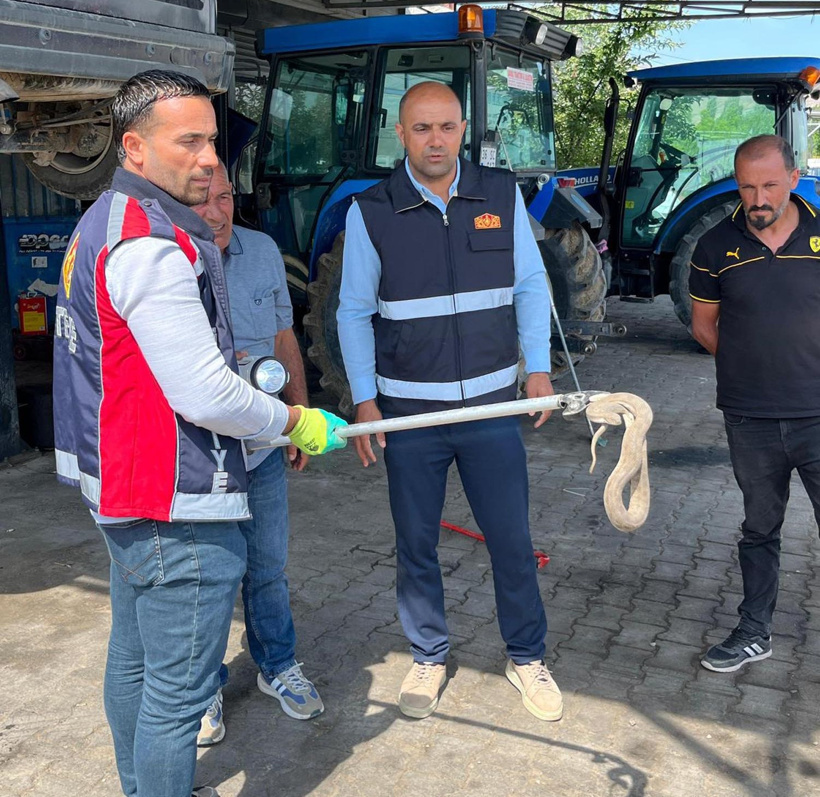 Ne yaptıysalar çıkmadı! Çaresiz kalan sürücü yılan giren aracı tamirhaneye götürdü - Resim : 1