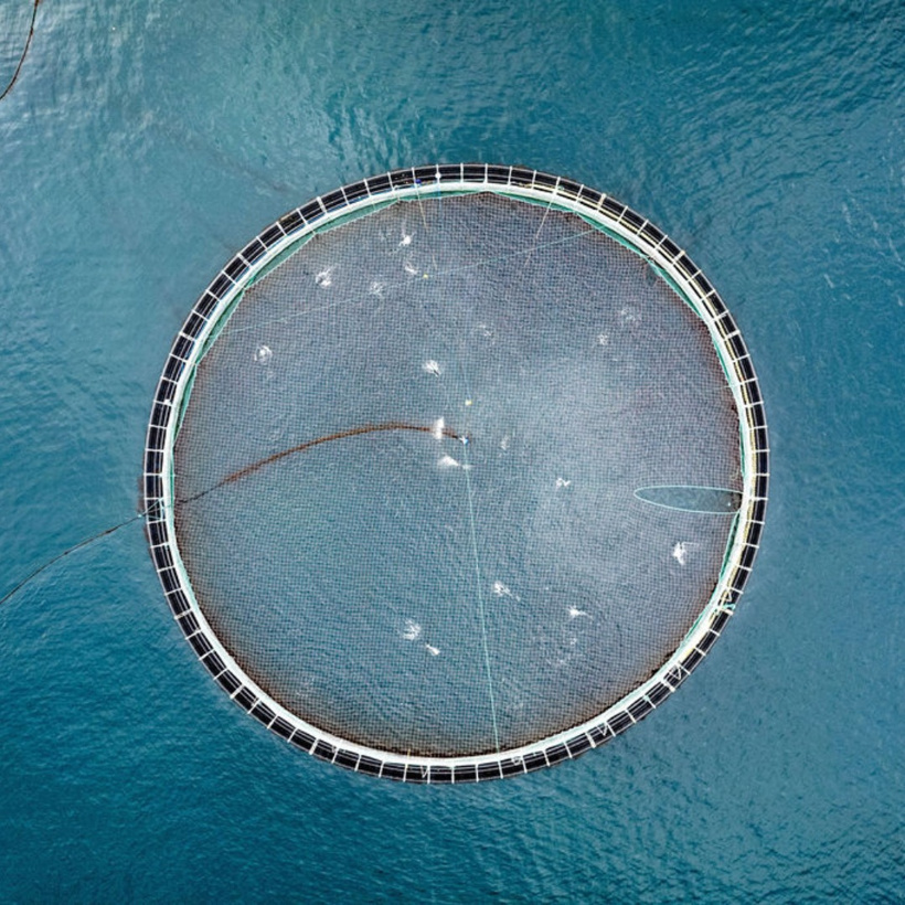 10-yillik-donemde-865-milyon-somon-balig-23383-1.jpg