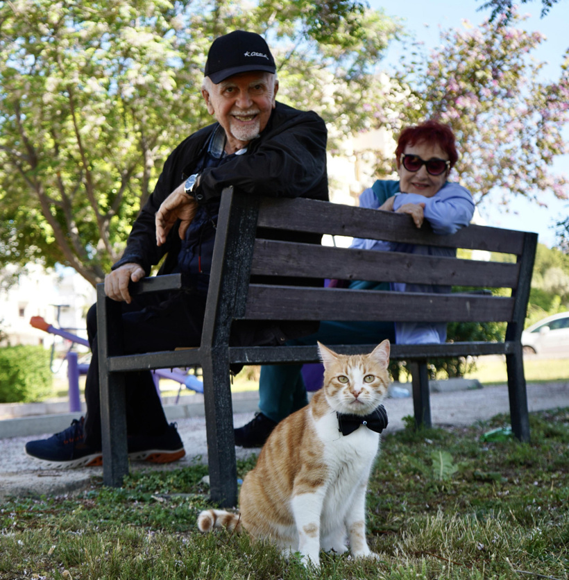 Eve hapsolan emeklinin imdadına bir sokak kedisi yetişti - Resim : 1